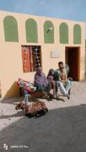 Goat and new home for the flood affectee