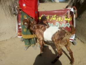 Woman and her Daughter with a Goat