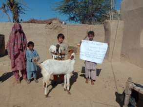 Goat delivered to a Poor Family