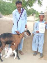 Goat handed over to a Poor Family