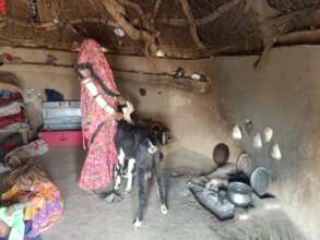 The poor family with their goat