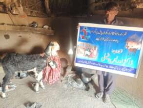 New goat and the family