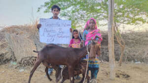 Goats and the family