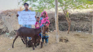 Goats with the family