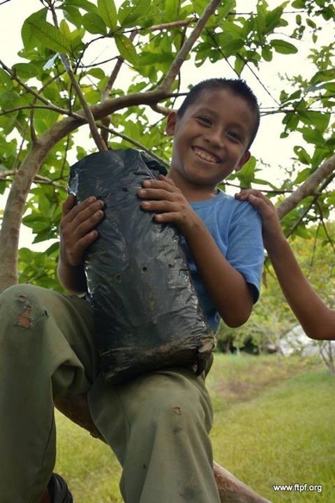 Feed Vulnerable Guatemalan Kids with Fruit Trees!