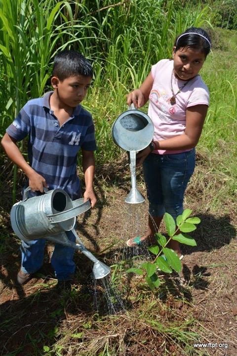Feed Vulnerable Guatemalan Kids with Fruit Trees!