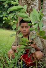 Feed Vulnerable Guatemalan Kids with Fruit Trees!