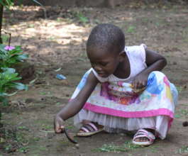 Playtime in the garden