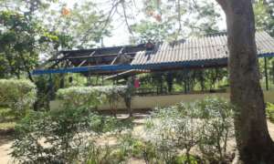 Removing the old roof