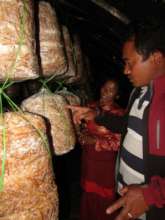 ETC ag specialist Kumar Pahari advising Rama Thami
