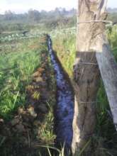 Farming In ligala swamp