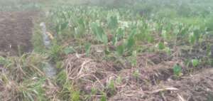 Securing our lands for the future