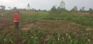 Irrigation for food security