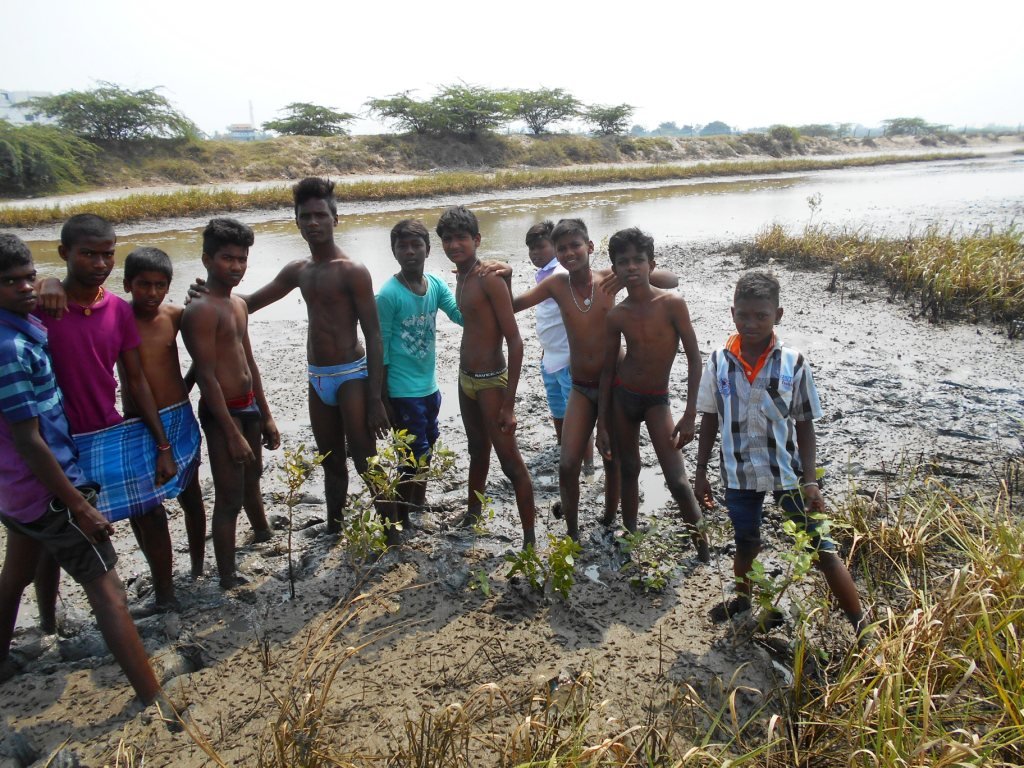 Mangroves conservation and Wed-land promotion