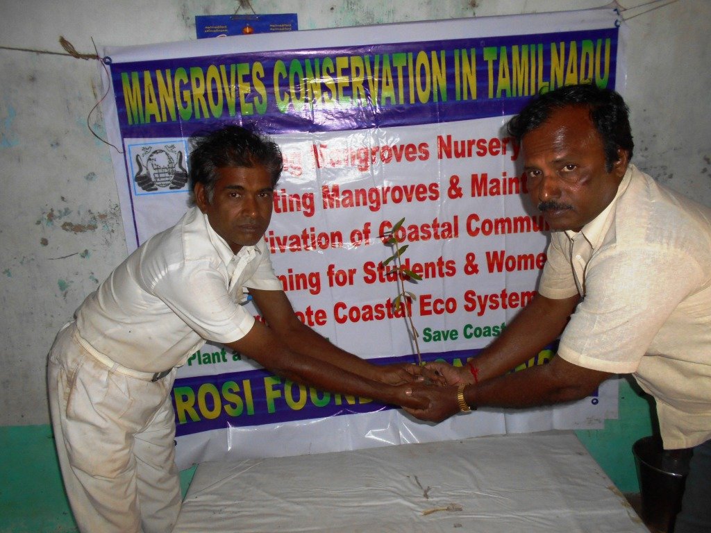 Mangroves conservation and Wed-land promotion