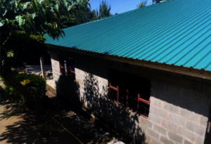 Our roof and windows