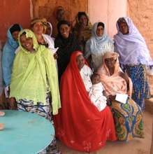 RAIN Mentors in Arlit, 2009