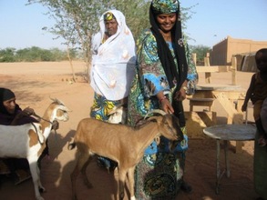 Learning herding and bringing in income...