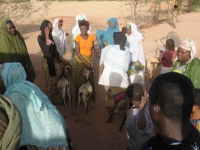 Akokan mentors with goats.