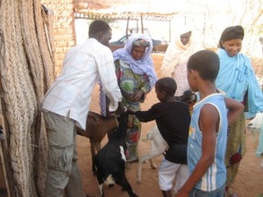 Mentors learning animal husbandry techniques