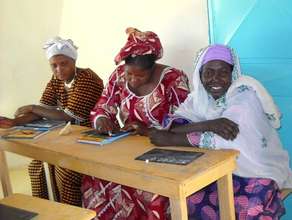 Mentors in training