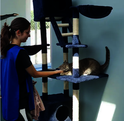 Enjoying sunshine and strokes at the shelter