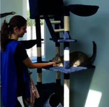 Enjoying sunshine and strokes at the shelter