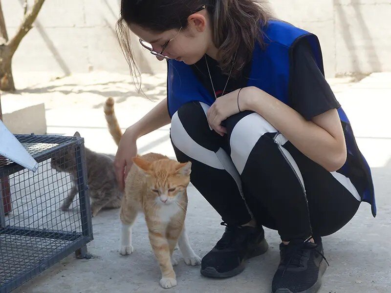 Ongoing support for elderly and disabled cats