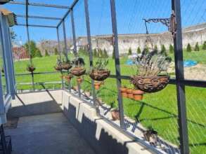 Ongoing support for elderly and disabled cats