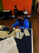 Student participants in USA