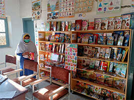 Books were arranged in the library.