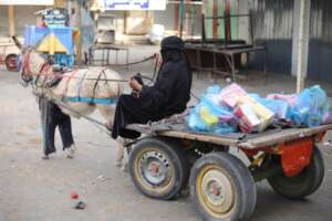 Aqlaa came to pick food supplies on her cart
