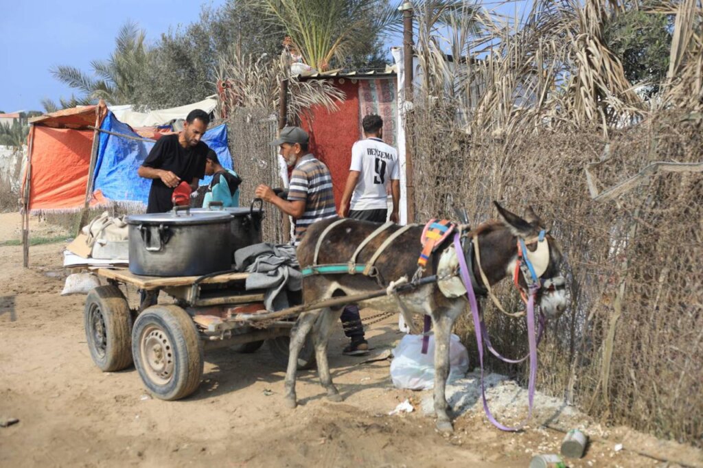 Gaza Emergency Relief Fund