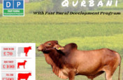 Donate your Qurbani 2019 to FRDP