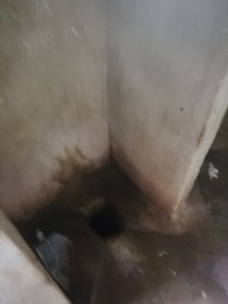 The improvement of health and hygiene