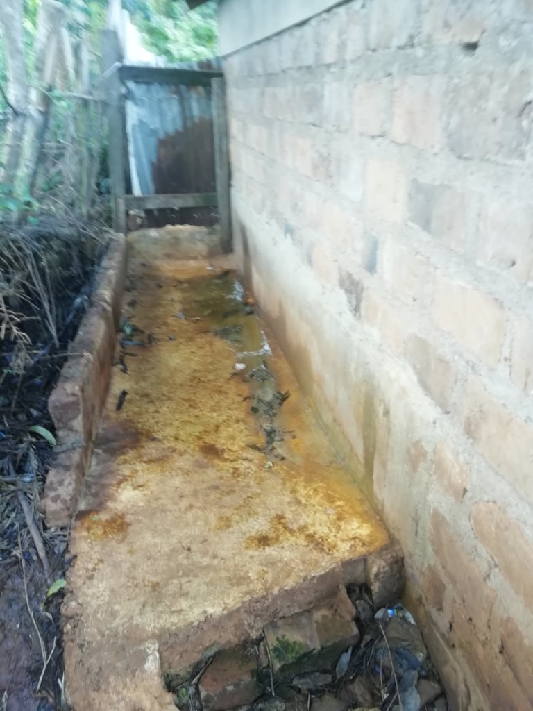 The improvement of health and hygiene