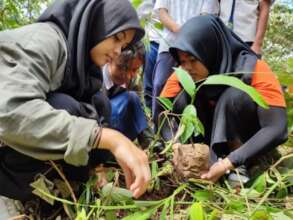 Working together to plant trees