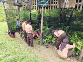 Maintaining the school tree nursery