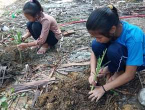 Students planting citronella.