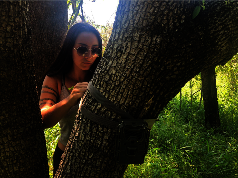 Adopt a Camera Trap - Greater Kruger, South Africa