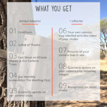 Adopt a Camera Trap - Greater Kruger, South Africa