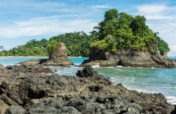 Seychelles Curieuse Island Conservation