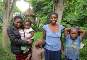 part of Tiko families
