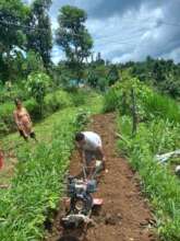 Vegetable Nursery establishment