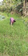 Engagement in vegetable farming