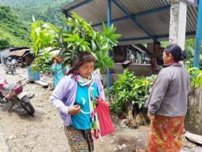 Carrying Fruit saplings for plantation