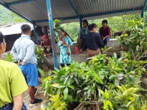 Fruit sapling distribution to victims