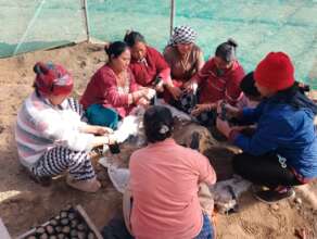 Powered by women for institutional development