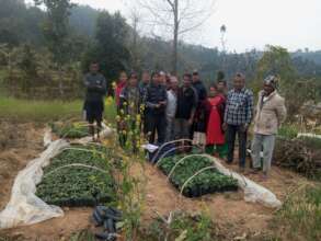 Women farmer make ready for transplanting