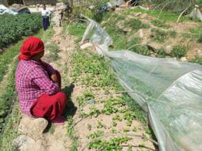 Women for Nursery bed preparation